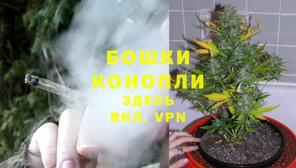 MESCALINE Корсаков