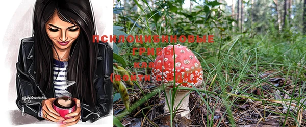 MESCALINE Корсаков