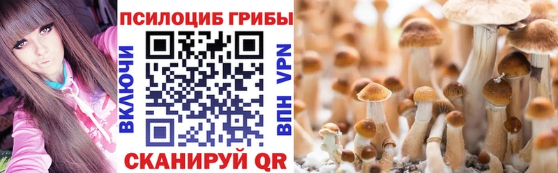Купить закладки  Холм  Галлюциногенные грибы Magic Shrooms 